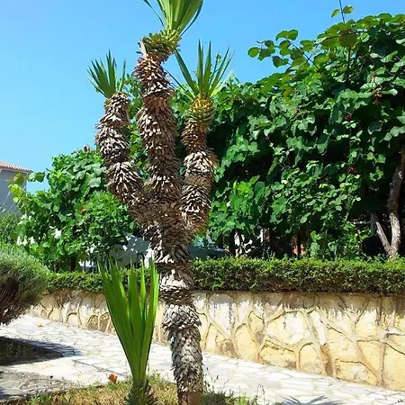 Urban Premium (adults Only) Daire