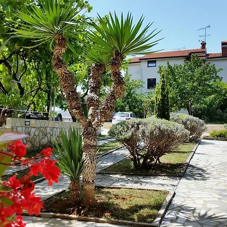 Apartman Urban Premium (adults Only) *