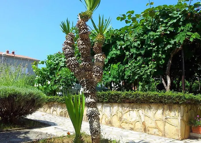 Urban Premium (adults Only) Appartamento